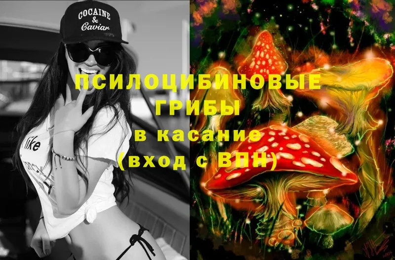 купить закладку  МЕГА ONION  Галлюциногенные грибы Magic Shrooms  Энем 